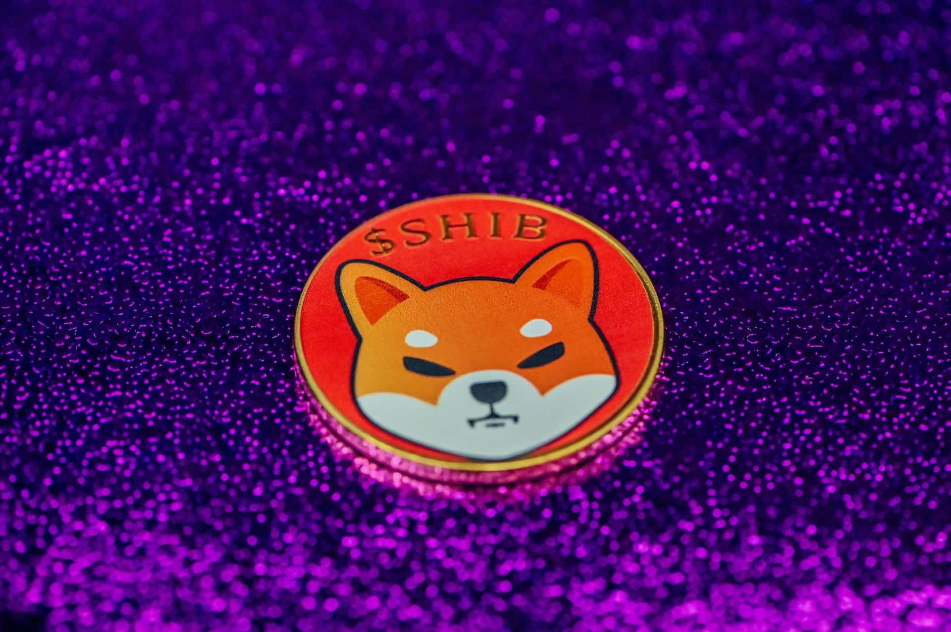 Shiba Inu’s Shibarium Gets Massive Boost as SHIB Partner Launches Validator Node to Withstand Massive Transaction and Wallet Explosion