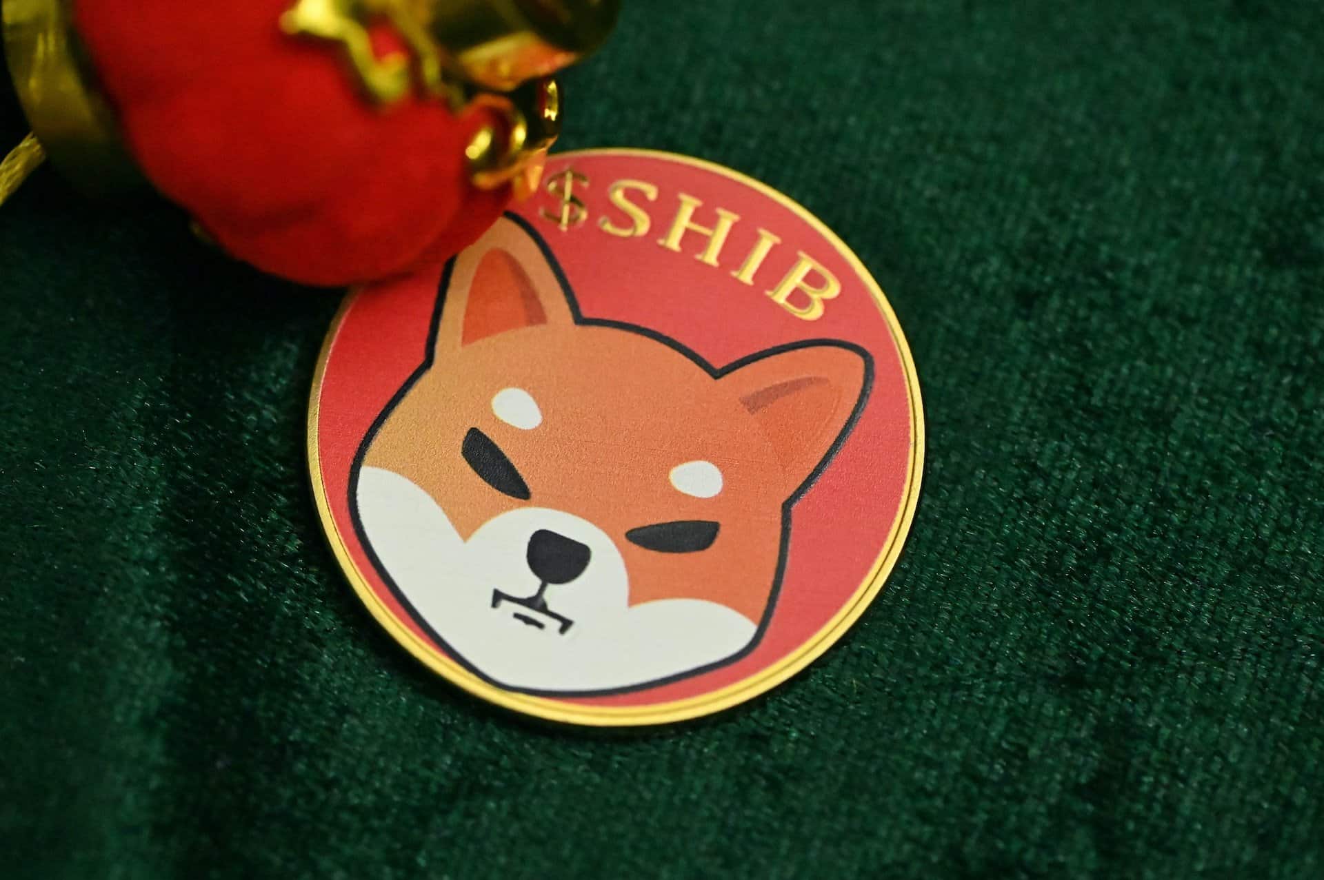 Shiba Inu Cryptocurrency: Newborn Whale Stakes 2 Trillion SHIB Tokens, Massive Price Pump Expected – Crypto News Flash