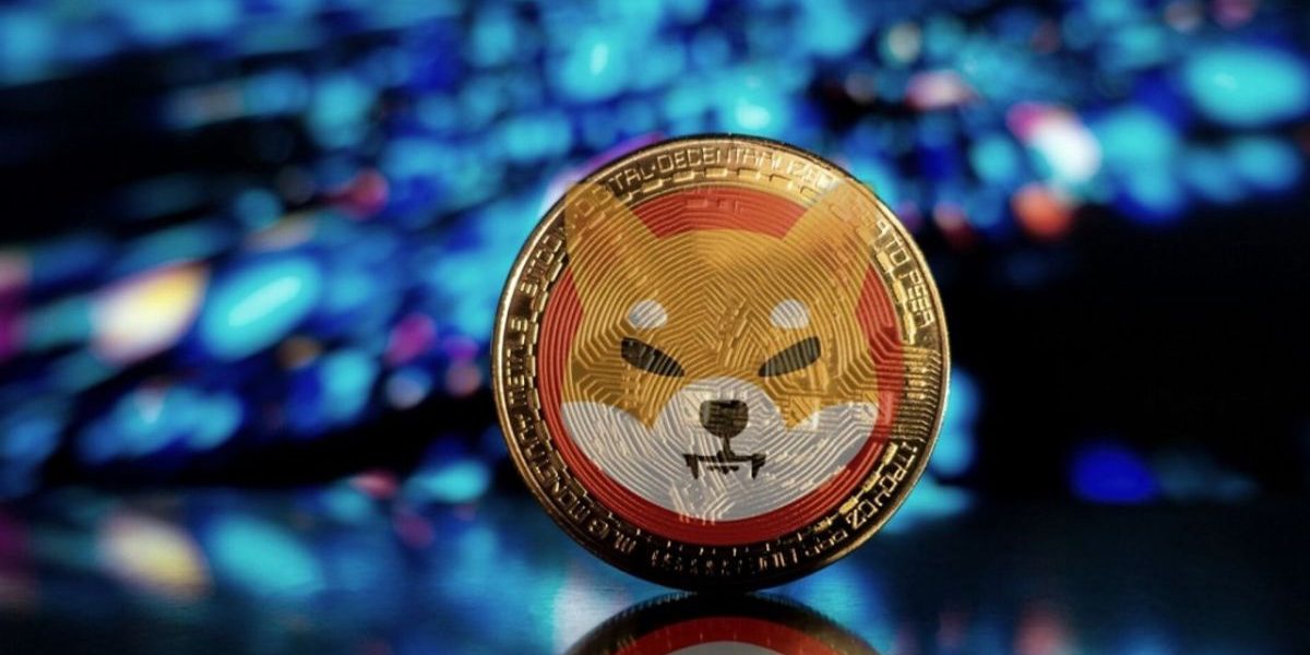 What Makes a Cryptocurrency Explode Like Shiba Inu?