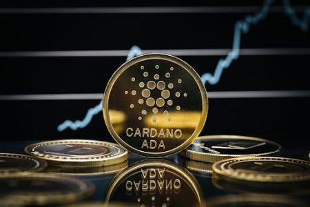 IOG (Input Output Global), the driving force behind Cardano, has announced in their blog the release of the latest version, Lace 1.4.0