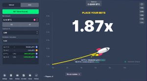 A crypto crash game like bustabit or roobet