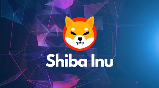 What Makes a Cryptocurrency Explode Like Shiba Inu?