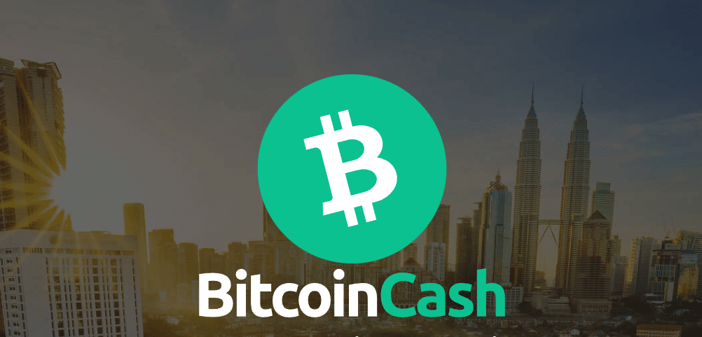 Bitcoin Cash Rockets Over 10%: Can It Break the $255 Barrier for More Gains?