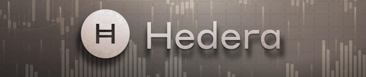 Hedera-HBAR-logo-with-gray-background-scaled