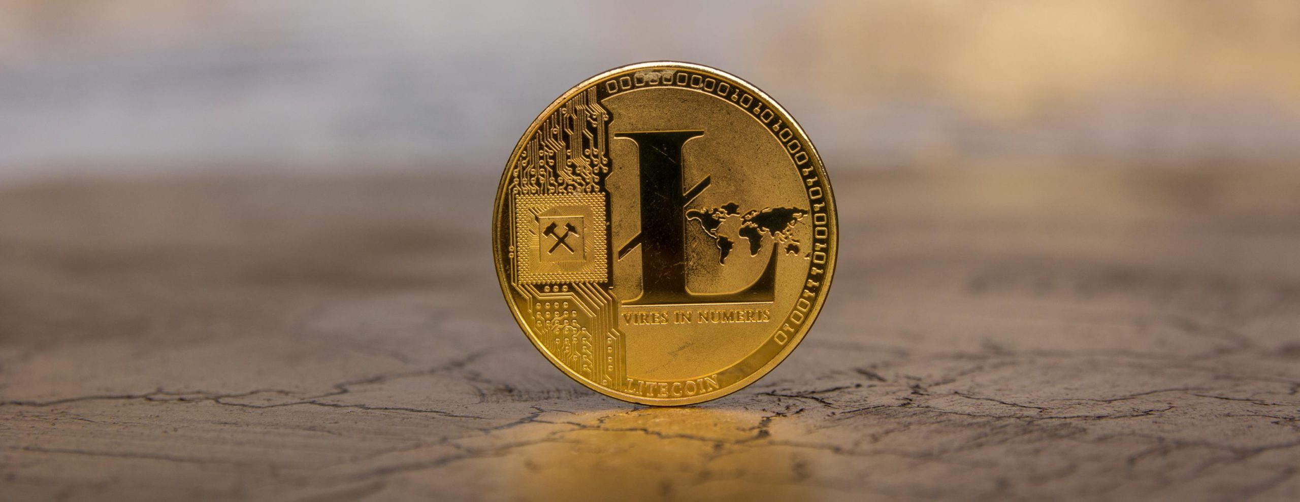 ein-canary-capital-litecoin-etf-w-rde-ein-direktes-engagement-in-ltc-bieten