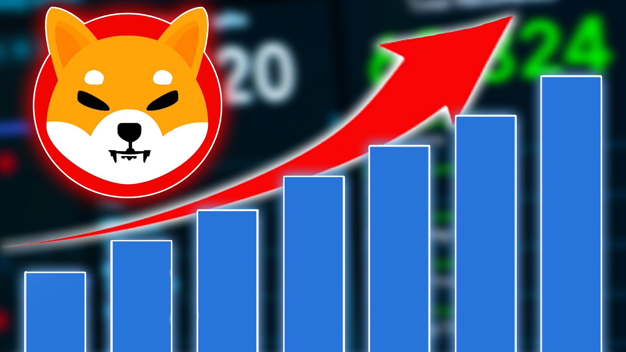Study: Shiba Inu, Baby Doge Coin, and Memecoin Supplies Dominated by Whales – Should Investors be Worried?