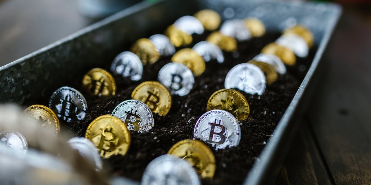 Coins-Bitcoin-seeded-ground