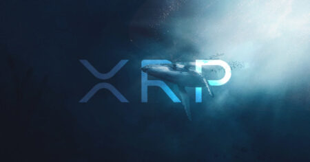 XRP Whale Whales