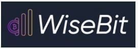 WiseBit AI Logo