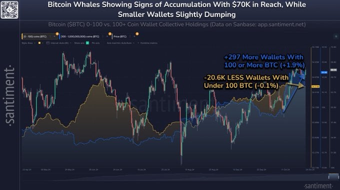 Les baleines Bitcoin s’accumulent alors que les détaillants déclinent : signal haussier ? - La Crypto Monnaie