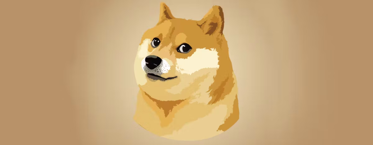 Matt Wallace dogecoin