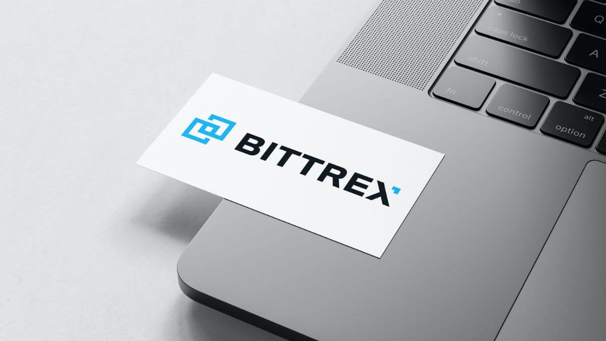 Stephen Stonberg Bittrex