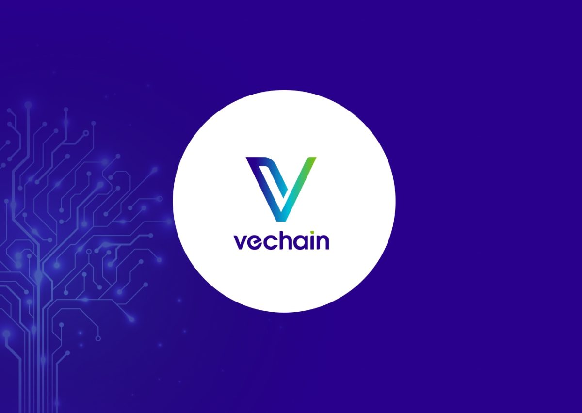 VeChain’s Revolutionary Renaissance Update Set to Launch in July 2025: What’s New for $VET?