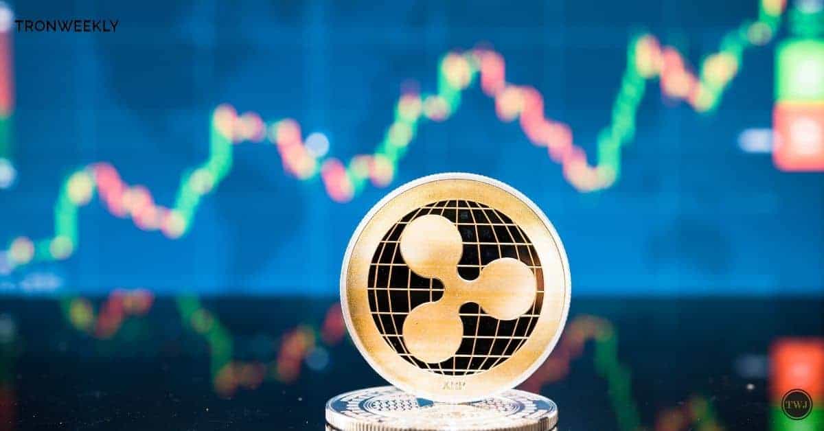 XRP: 7.000 neue Wallets pro Tag – Kurs 100 Dollar in Sicht?