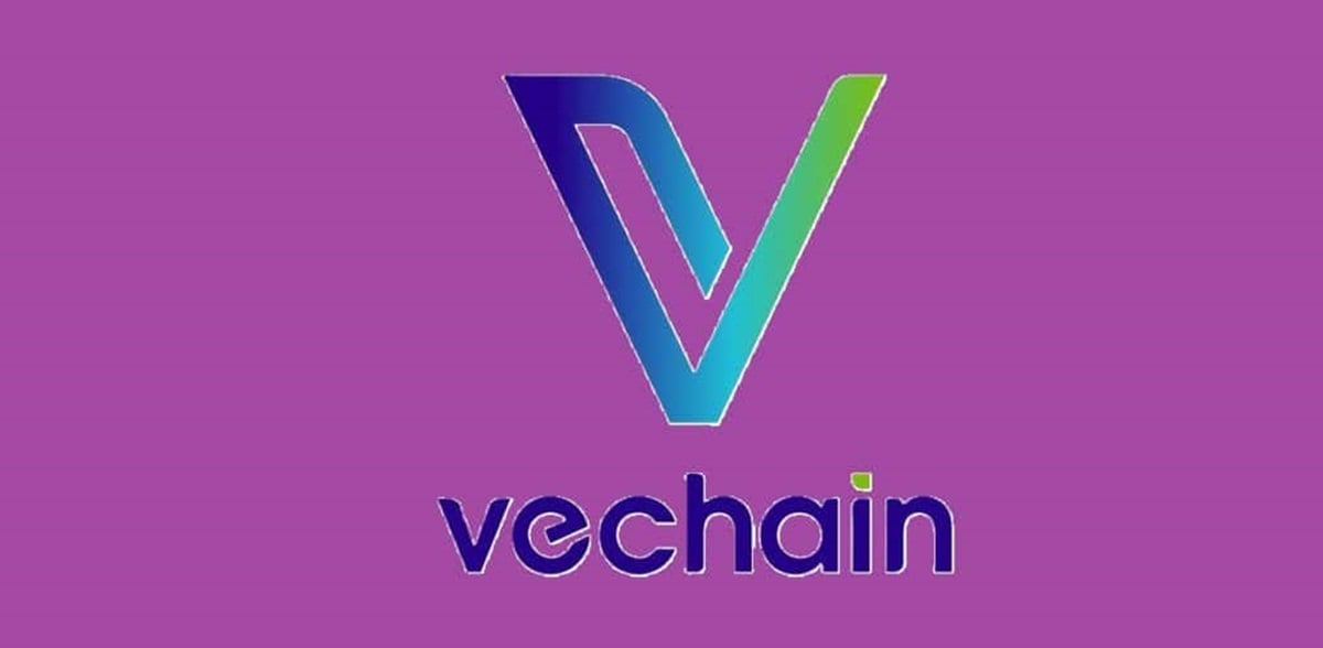 VeChain präsentiert neue Trainings-App „Build Your Body“