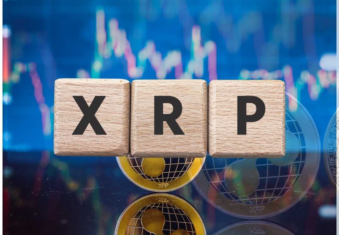 Pourquoi XRP attire l’attention en ce début décembre 2025 ?